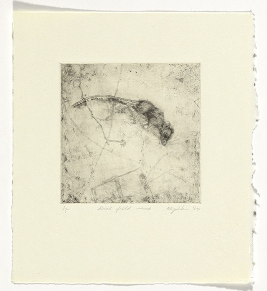 Artist: b'Myshkin, Tanya.' | Title: b'Dead field mouse' | Date: 1990 | Technique: b'etching, printed in black ink, from one copper plate'