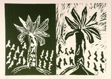Artist: b'SHEARER, Mitzi' | Title: b'In the forest' | Date: 1977