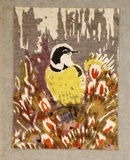 Artist: Palmer, Ethleen. | Title: (Bird sitting in a group of banksias) | Date: c.1955 | Technique: screenprint, printed in colour, from multiple stencils