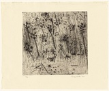 Artist: b'WALKER, Murray' | Title: b'Goat and Trees' | Date: 1964 | Technique: b'etching, printed in black ink, from one plate'