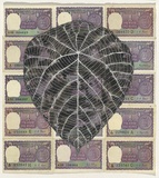 Artist: b'HALL, Fiona' | Title: b'Macranga peltata  (Indian currency)' | Date: 2000 - 2002 | Technique: b'gouache' | Copyright: b'\xc2\xa9 Fiona Hall'