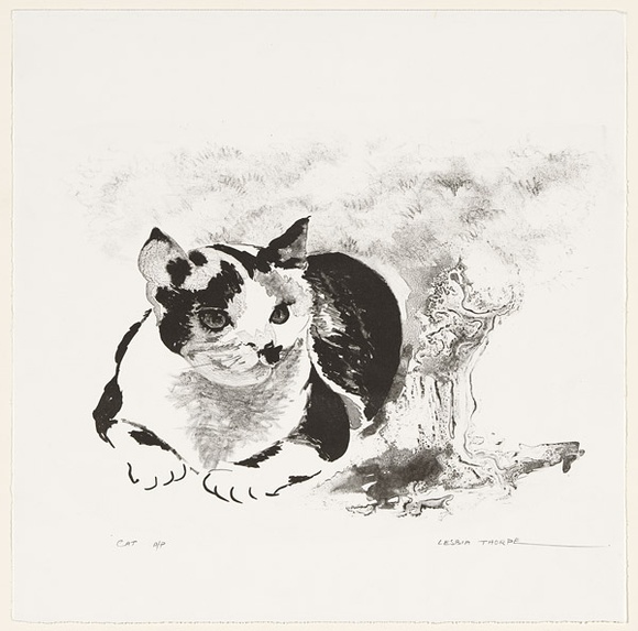 Artist: Thorpe, Lesbia. | Title: Cat | Date: 1984 | Technique: lithograph, printed in black ink, from one plate