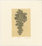 Artist: Watson, Judy. | Title: Dispersal | Date: 2000 | Technique: etching, printed in black ink, from one plate