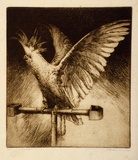 Artist: b'Friedensen, Thomas.' | Title: b'Cockatoo.' | Date: 1927 | Technique: b'etching, printed in brown ink, from one plate'