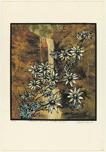 Title: b'Actinotos helianthi - flannel flowers' | Date: 1990 | Technique: b'screenprint, printed in colour, from multiple stencils'