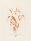 Artist: MACQUEEN, Mary | Title: Goat | Date: 1969 | Technique: lithograph, printed in brown ink, from one plate | Copyright: Courtesy Paulette Calhoun, for the estate of Mary Macqueen