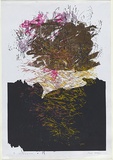 Artist: MEYER, Bill | Title: Springing to mind | Date: 1981 | Technique: screenprint, printed in eight colours, from multiple screens (screen blockout and charcoal and acetate for photo-indirect) | Copyright: © Bill Meyer