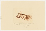 Artist: b'Japanangka Lewis, Paddy.' | Title: b'Pussy-cat' | Date: 2004 | Technique: b'drypoint etching, printed in brown ink, from one perspex plate'
