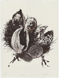 Artist: b'Hodgkinson, Frank.' | Title: b'The seed' | Date: 1978 | Technique: b'lithograph, printed in colour, from four plates'