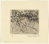 Artist: WALKER, Murray | Title: Behind Kanumbra (Victoria) | Date: 1963 | Technique: drypoint, printed in black ink, from one plate