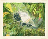 Artist: b'Robinson, William.' | Title: b'Creation landscape - water and land II (rainforest)' | Date: 1991 | Technique: b'lithograph, printed in colour ink, from multiple stones'