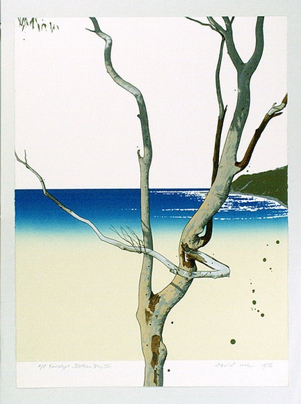 Artist: b'Rose, David.' | Title: b'Eucalypt - Bateau Bay III' | Date: 1976 | Technique: b'screenprint, printed in colour, from multiple stencils'