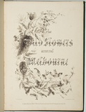 Artist: Charsley, Fanny Anne. | Title: Title page: The wild flowers around Melbourne. | Date: 1867 | Technique: lithograph, printed in black ink, from one stone