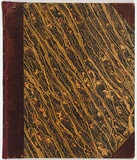 Artist: Edgar Ray & Co. | Title: Melbourne punch vol. I. | Date: 1856 | Technique: wood-engravings, each printed in black ink, from one block; letterpress text
