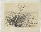 Artist: b'Angas, George French.' | Title: b'Ophir, at the junctions' | Date: 1851 | Technique: b'lithographs, printed in colour, form two stones'