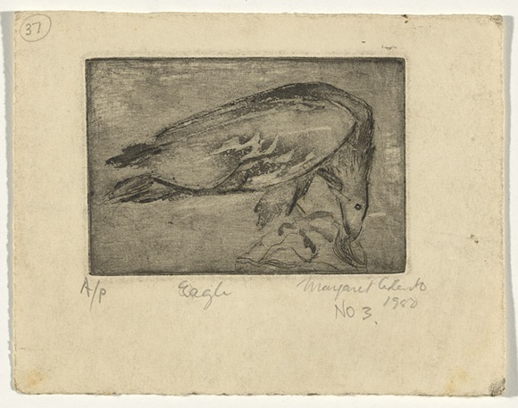 Artist: b'Cilento, Margaret.' | Title: b'Eagle feeding.' | Date: 1950 | Technique: b'etching and aquatint, printed in black ink with plate-tone, from one plate'