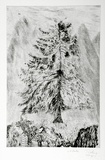 Artist: b'COLEING, Tony' | Title: b'Bunyah pine meets lilo man.' | Date: 1989-90 | Technique: b'etching, printed in black ink, from one plate'