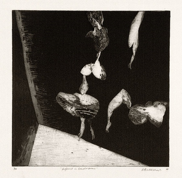 Artist: b'BALDESSIN, George' | Title: b'Figure in enclosure.' | Date: 1964 | Technique: b'etching, aquatint and burnishing, printed in black ink, from one plate'