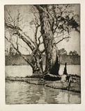 Artist: Ragless, Max. | Title: River trees | Date: 1934 | Technique: aquatint and etching, printed in warm black ink with plate-tone, from one plate | Copyright: © Max Ragless