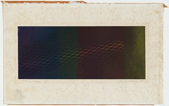 Artist: b'Faerber, Ruth.' | Title: b'Taking shape' | Date: 1978 | Technique: b'lithograph, printed in colour, from multiple paper plates'