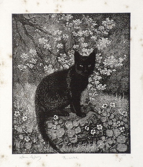 Artist: b'LINDSAY, Lionel' | Title: b'The witch' | Date: 1924 | Technique: b'wood-engraving, printed in black ink, from one block' | Copyright: b'Courtesy of the National Library of Australia'