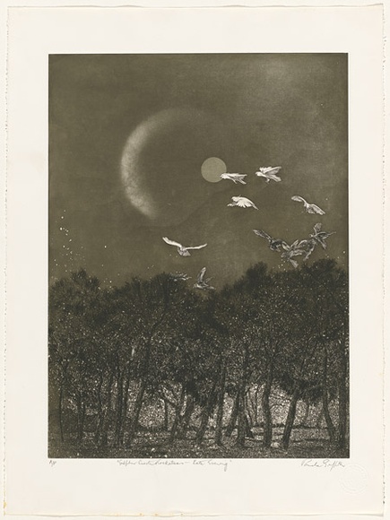 Artist: b'GRIFFITH, Pamela' | Title: b'Sulphur crested cockatoos, late evening' | Date: 1982 | Technique: b'etching, aquatint, burnishing, splatter printed in black ink, from one zinc plate' | Copyright: b'\xc2\xa9 Pamela Griffith'