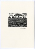 Artist: Frazer, David. | Title: David De Campo | Date: c.2001 | Technique: wood-engraving, printed in black in, from one block