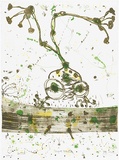 Artist: Olsen, John. | Title: Frog at Kakadu | Date: 1988 | Technique: lithograph, printed in colour, from three stones | Copyright: © John Olsen. Licensed by VISCOPY, Australia