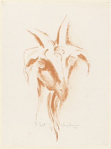 Artist: b'MACQUEEN, Mary' | Title: b'Goat' | Date: 1969 | Technique: b'lithograph, printed in brown ink, from one plate' | Copyright: b'Courtesy Paulette Calhoun, for the estate of Mary Macqueen'