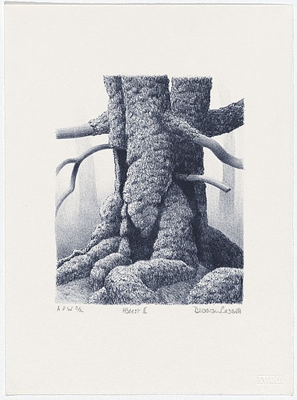 Artist: b'Russell,, Deborah.' | Title: b'Forest II' | Date: 2000, May | Technique: b'lithograph, printed in blue ink from one stone'