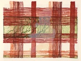 Artist: b'McPherson, Megan.' | Title: b'Hong Kong Island check' | Date: 1997 | Technique: b'tuche lithograph, printed in colour and translucent white, from multiple stones'