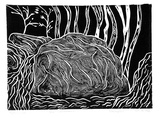 Artist: b'Warapiri.' | Title: b'The Cascades' | Date: 1986 | Technique: b'linocut, printed in black ink, from one block'