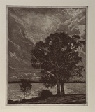 Artist: WADE, Stuart E | Title: not titled [trees by water] | Date: 1989 - 2002 | Technique: etching and aquatint, printed in black ink, from one plate