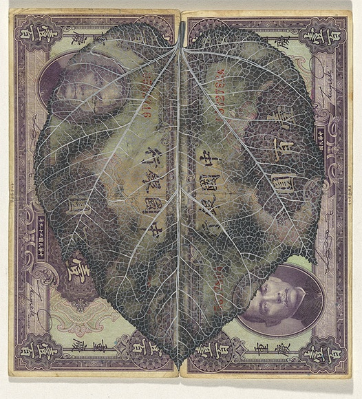 Artist: b'HALL, Fiona' | Title: bAcer davidii  - Pere David's maple (Chinese currency) | Date: 2000 - 2002 | Technique: b'gouache' | Copyright: b'\xc2\xa9 Fiona Hall'