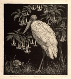 Artist: LINDSAY, Lionel | Title: Philosophy | Date: 1925 | Technique: wood-engraving, printed in black ink, from one block | Copyright: Courtesy of the National Library of Australia