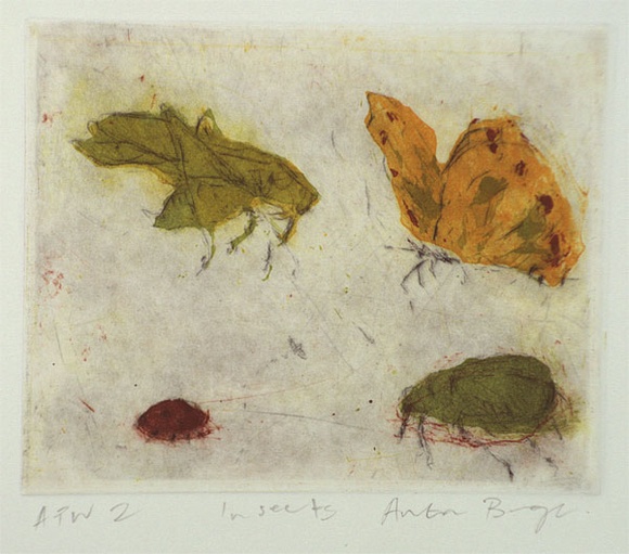 Artist: b'Bragge, Anita.' | Title: b'Insects' | Date: 1998 | Technique: b'aquatint, sugarlift and drypoint, printed in colour, from four plates'