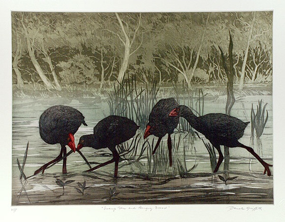 Artist: b'GRIFFITH, Pamela' | Title: b'Swamp Hen and hungry brood' | Date: 1989 | Technique: b'hard ground, aquatint, burnishing, printed from two copper plates; additional hand tinting' | Copyright: b'\xc2\xa9 Pamela Griffith'