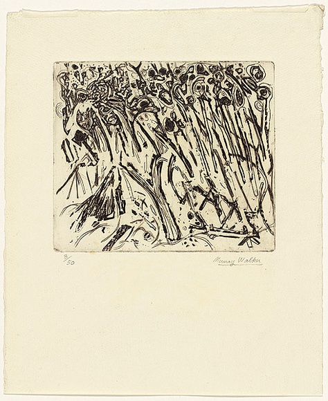 Artist: b'WALKER, Murray' | Title: b'Hillside' | Date: 1963 | Technique: b'etching, deep etch and engraving, printed in black ink, from one plate'