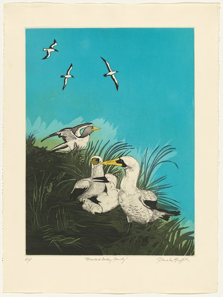 Artist: b'GRIFFITH, Pamela' | Title: b'Masked Booby family' | Date: 1985 | Technique: b'hardground-etching and aquatint, printed in colour, from two zinc plates' | Copyright: b'\xc2\xa9 Pamela Griffith'