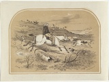 Artist: b'GILL, S.T.' | Title: b'Stockman.' | Date: c.1854 | Technique: b'lithograph, printed in colour, from two stones (black and buff)'