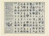 Artist: SCHMEISSER, Jorg | Title: Diary and 100 buds | Date: 1984 | Technique: etching and aquatint, printed in blue/black ink, from multiple plates | Copyright: © Jörg Schmeisser