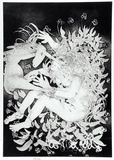 Artist: b'BOYD, Arthur' | Title: b'(wrapped in foliage).' | Date: 1973-74 | Technique: b'aquatint, printed in black ink, from one plate' | Copyright: b'Reproduced with permission of Bundanon Trust'