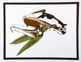 Artist: SHEAD, Leanne | Title: (The frog) (student work) | Date: 1978 | Technique: screenprint, printed in colour, from four stencils