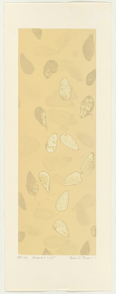 Artist: b'Schawel, Melinda.' | Title: b'Suspended light' | Date: 2000 | Technique: b'etching, printed in colour, from multiple plates'