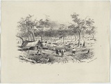 Artist: GILL, S.T. | Title: On Bendigo Creek. | Date: 1852 | Technique: lithograph, printed in black ink, from one stone