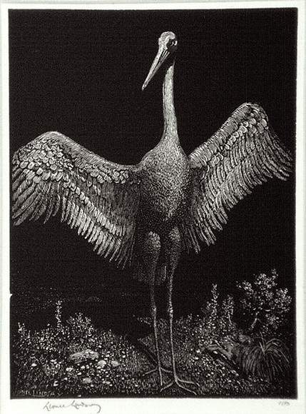 Artist: b'LINDSAY, Lionel' | Title: b'The dancer' | Date: 1924 | Technique: b'wood-engraving, printed in black ink, from one block' | Copyright: b'Courtesy of the National Library of Australia'