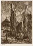 Artist: b'Stockfeld, R.H.' | Title: b'Rural scene, tall gums' | Date: c.1935 | Technique: b'etching, printed in black ink, from one plate'