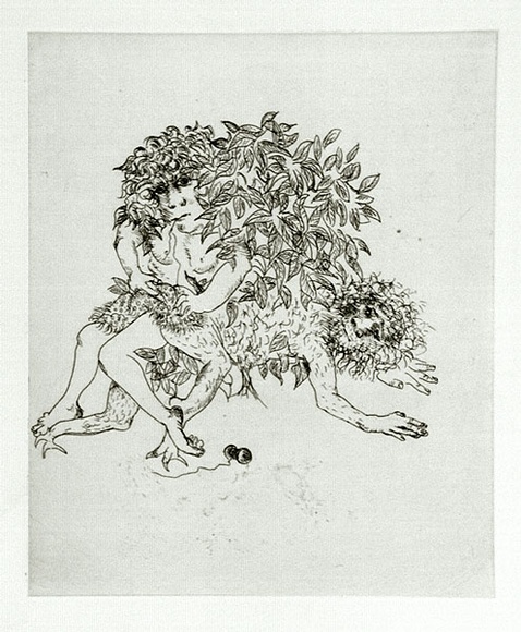 Artist: b'BOYD, Arthur' | Title: b'Story of a ruined man.' | Date: c.1970 | Technique: b'etching, printed in black ink, from one plate' | Copyright: b'Reproduced with permission of Bundanon Trust'