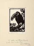 Artist: LINDSAY, Lionel | Title: Toucan | Date: 1925 | Technique: wood-engraving, printed in black ink, from one block | Copyright: Courtesy of the National Library of Australia