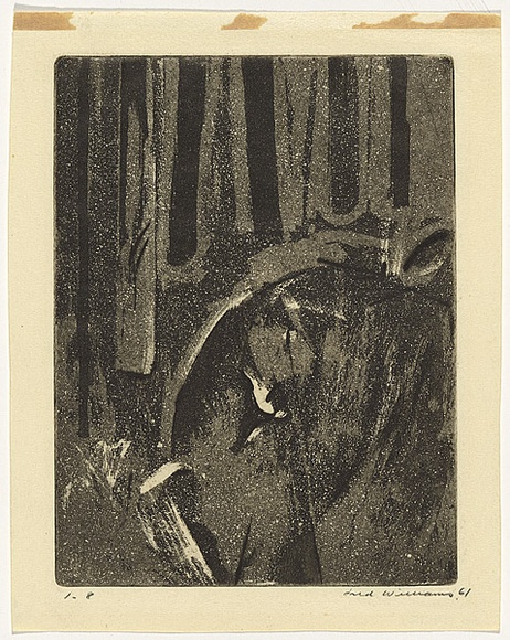 Artist: b'WILLIAMS, Fred' | Title: b'The forest pond' | Date: 1959-60 | Technique: b'etching, engraving, drypoint and aquatint, printed in black ink, from one copper plate' | Copyright: b'\xc2\xa9 Fred Williams Estate'